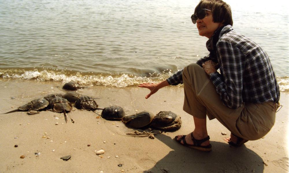 mujeres importantes de la ecología