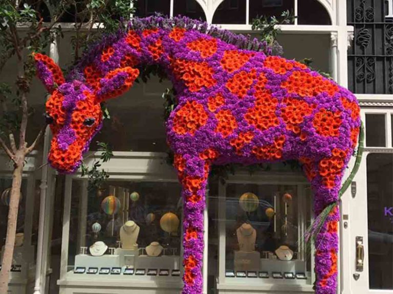 festival de flores y jardines 2018