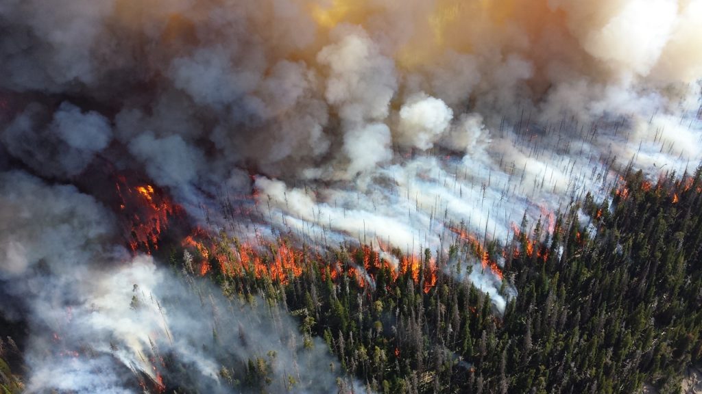incendio-forestal-en-siberia-por-dehielo-del-artico