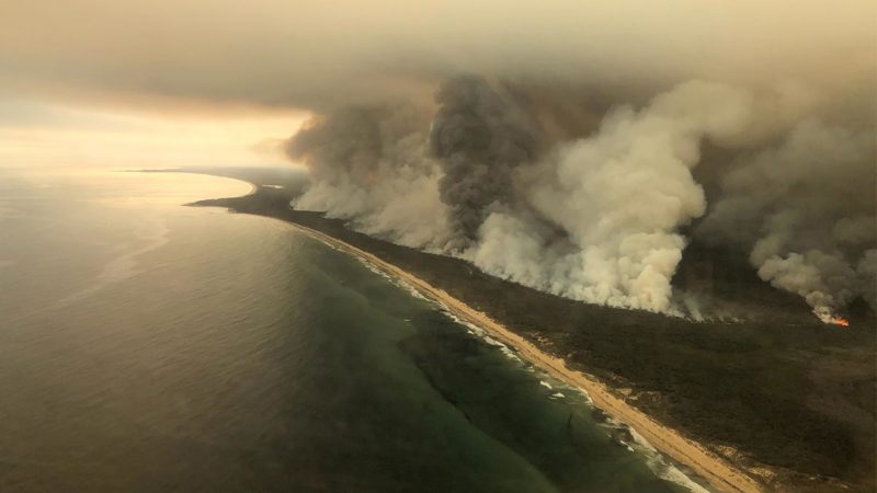 incendios-forestales-en-australia-causas-daños-a-la-biodiversidad