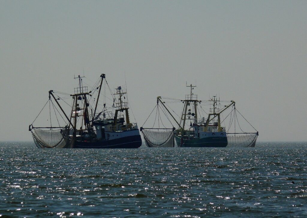 buques de pesca industrial