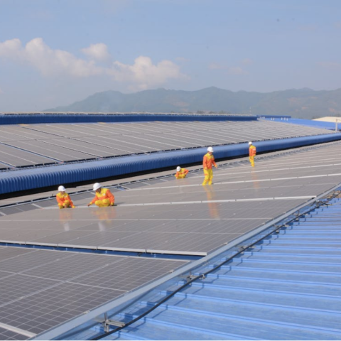 Yucatán empleos industria solar