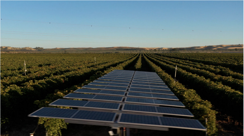 agricultura vinicola energia solar