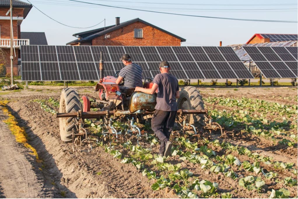 Energía solar y cultivos