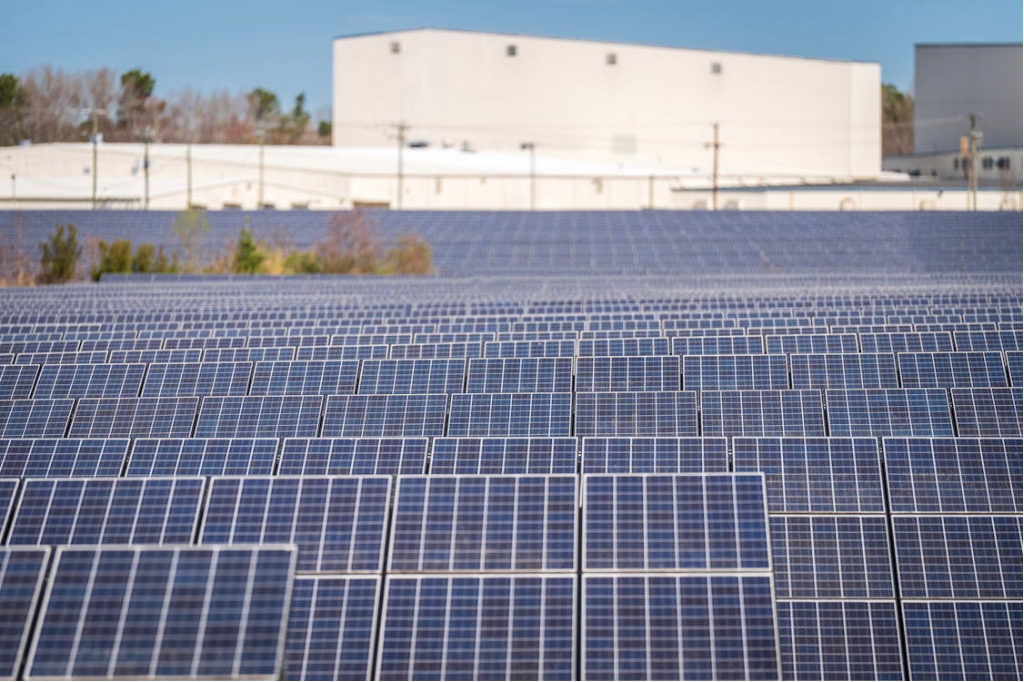 Paneles fotovoltaicos 