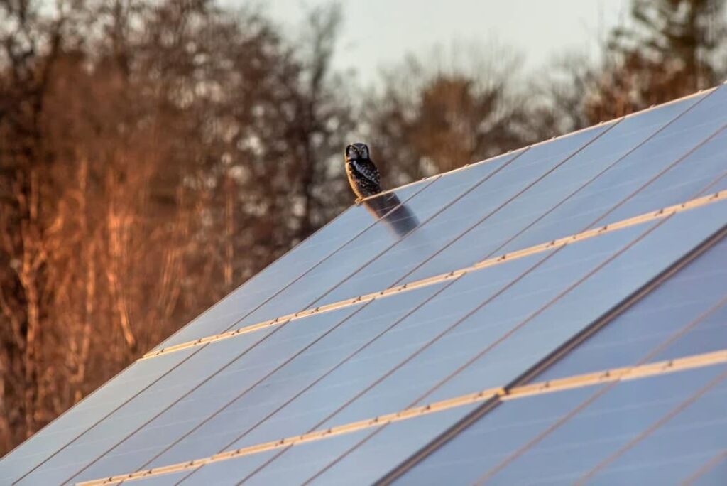 Energía solar en el hogar