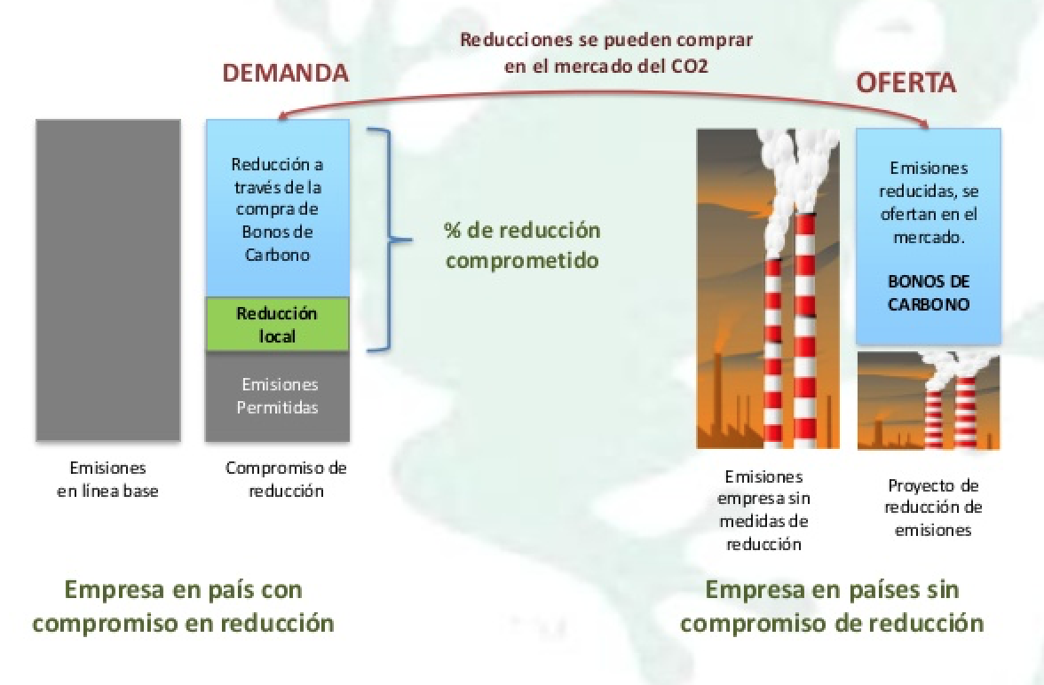 ¿Qué Implicará El Mercado De Bonos De Carbono En México? | GreenDates