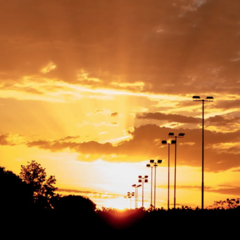 olas de calor paneles solares