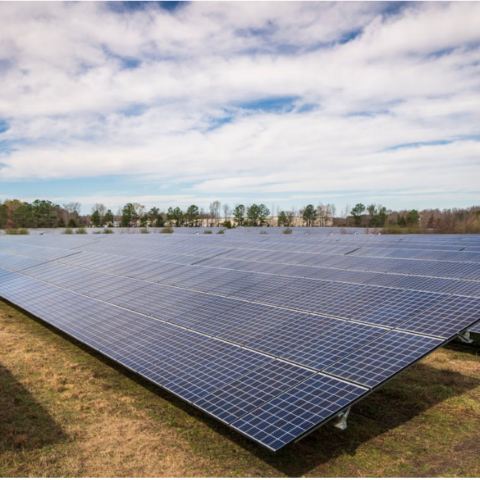 litio paneles solares