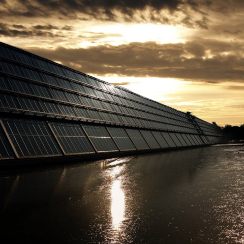 Paneles solares fuga de luz