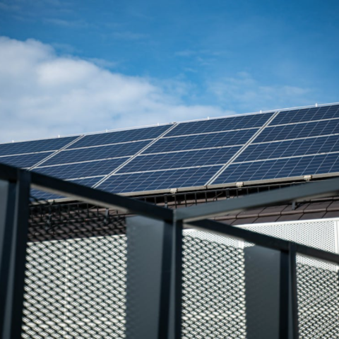 Paneles solares negocios