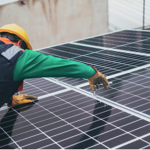 paneles fotovoltaicos