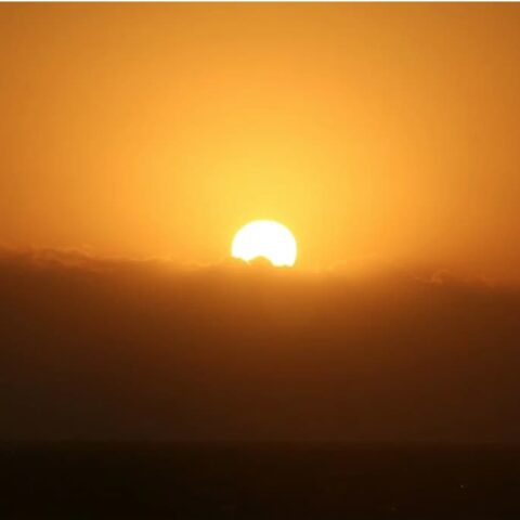 olas de calor paneles fotovoltaicos