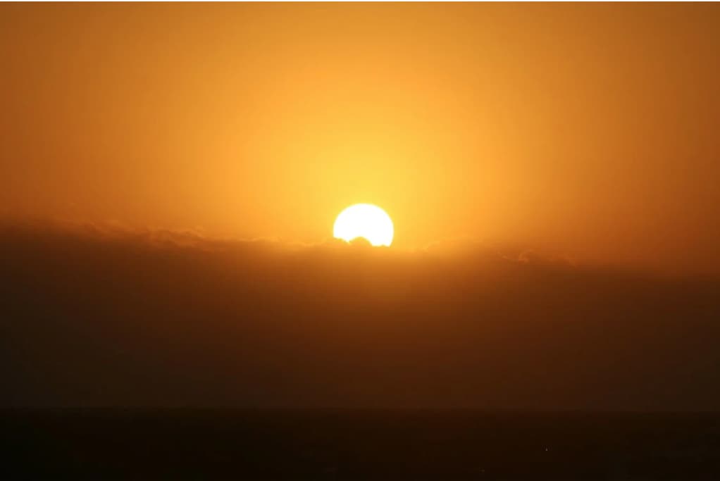 olas de calor paneles fotovoltaicos