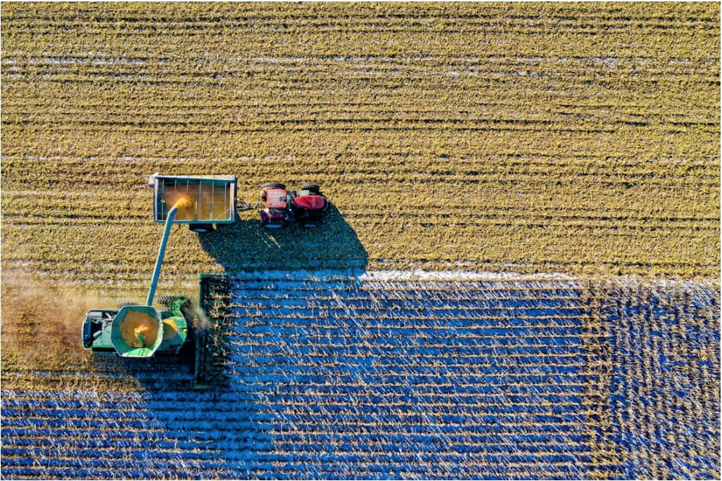 Energía solar y cultivos