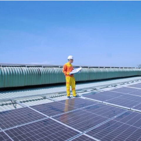 paneles solares en Puebla