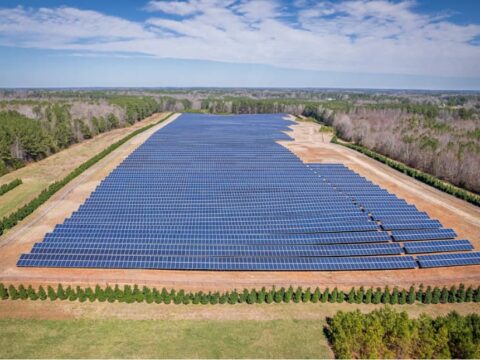 paneles solares instalados en cultivos