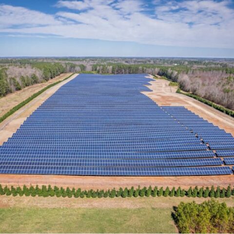 paneles solares instalados en cultivos