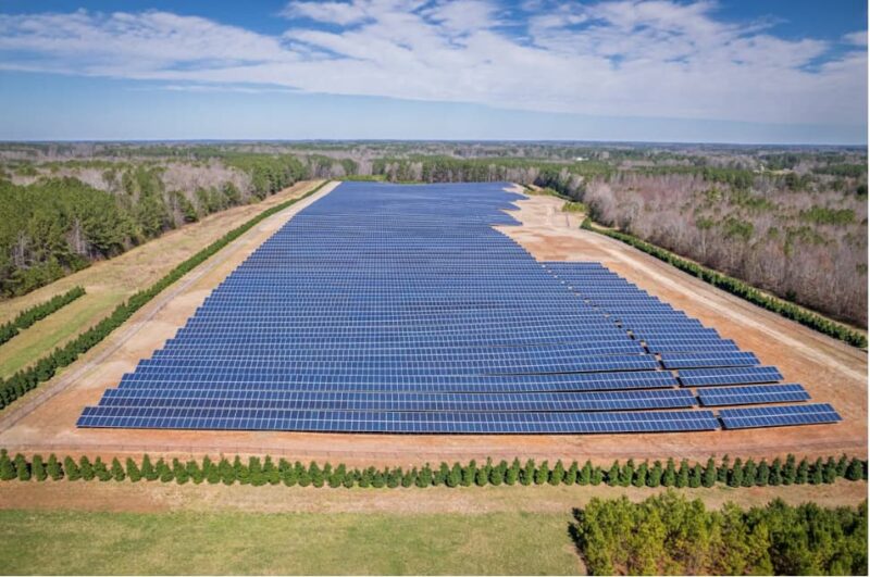 paneles solares instalados en cultivos