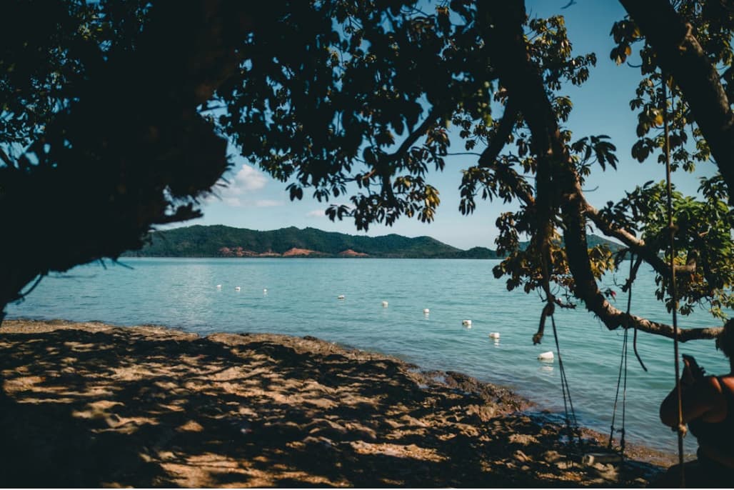 Salvar playas